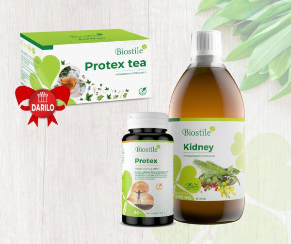 protex kapsulekidneydarilo protex caj 600x503 1