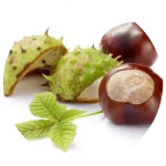 ESCIN Β SITOSTEROL PHYTOSOME® 150x150 1