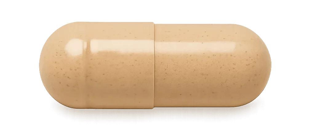 ChatGPT Image 30. %D1%81%D0%B5%D0%BF 2025. 12 21 48 3.png