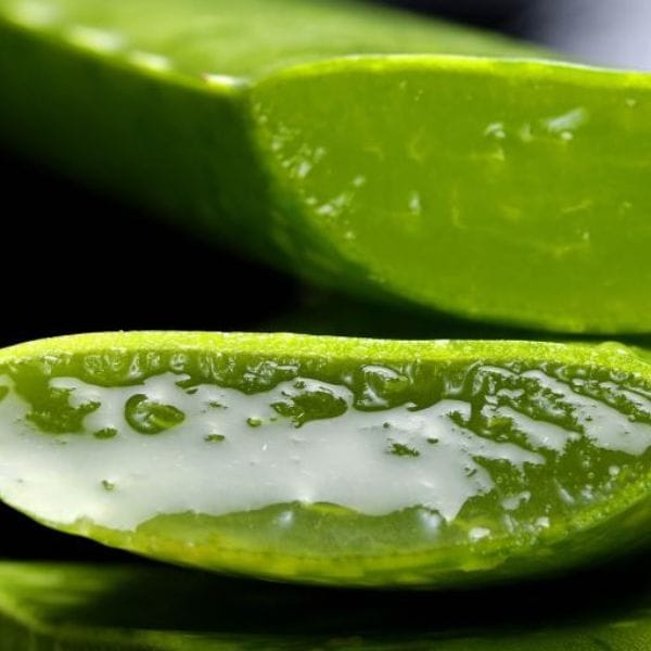 Aloe Vera, 1 L